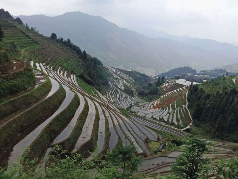 Longji Rice Terraces: Full-Day Private Tour from Guilin - The Experience and What to Expect