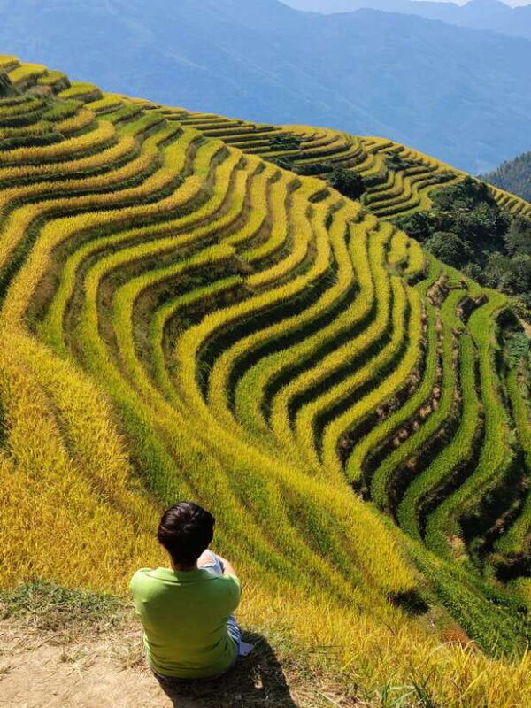 Longji Rice Terraces: Full-Day Private Tour from Guilin - FAQ
