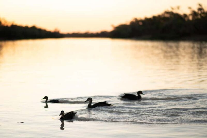 Longreach: Drover's Sunset Cruise & Outback Dinner & Show - Key Points