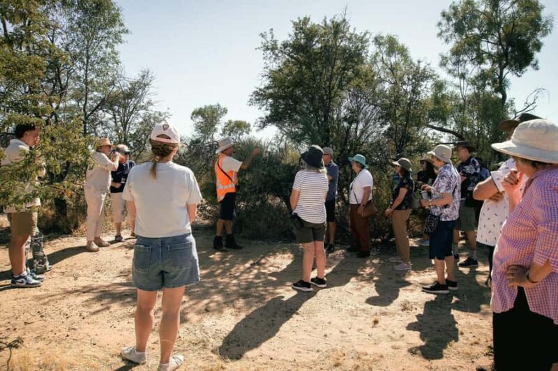Longreach: Great Darr River Rail Run Outback Rail Adventure - The Darr River Stop and Traditional Smoko