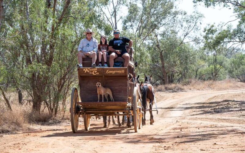 Longreach: Ride on a historic stagecoach on a bush track - An In-Depth Look at the Experience