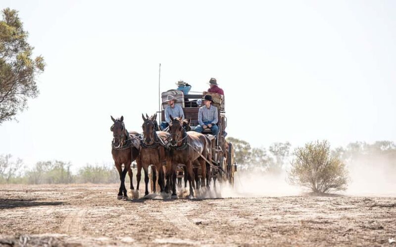 Longreach: Ride on a historic stagecoach on a bush track - Final Thoughts: Who Should Book This Tour?