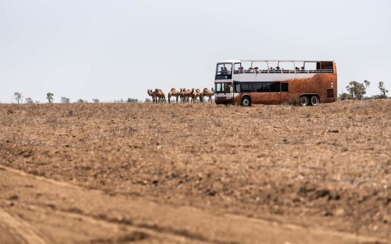 Longreach: The best way to experience outback station life - A detailed look at the experience
