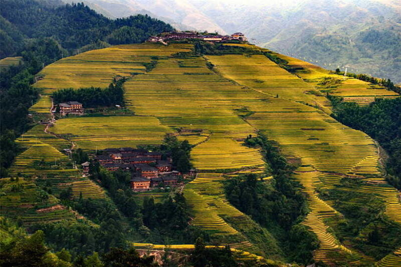 Longsheng Ethnic Minority & Rice Terraces Full-Day Tour - Lunch: Tasting Local Flavors