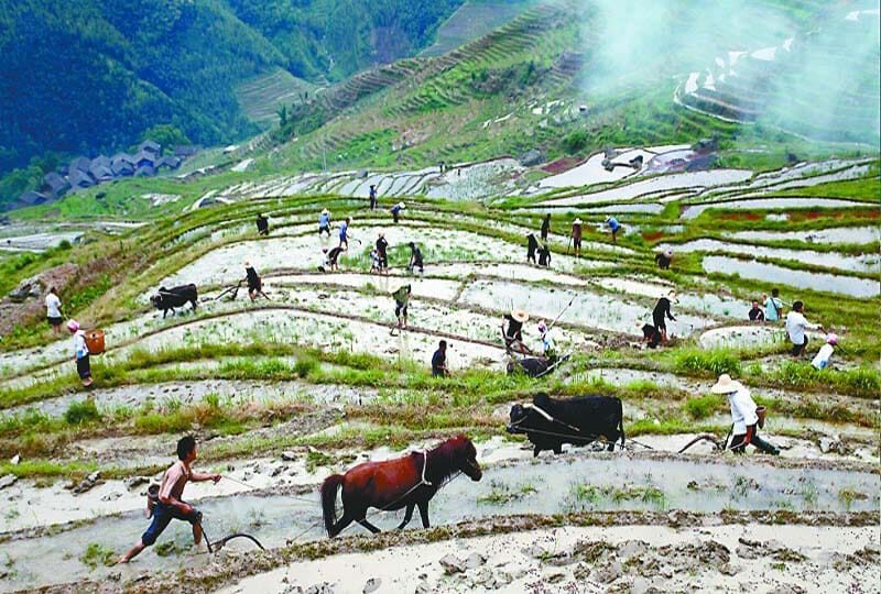 Longsheng Ethnic Minority & Rice Terraces Full-Day Tour - Optional Cable Car Ride & Practicalities