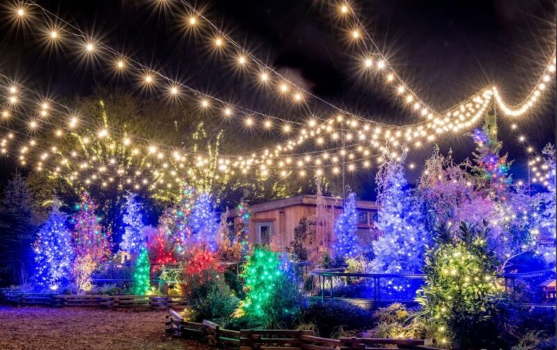 Longwood Gardens Holiday Lights Tour from Philadelphia - What People Are Saying