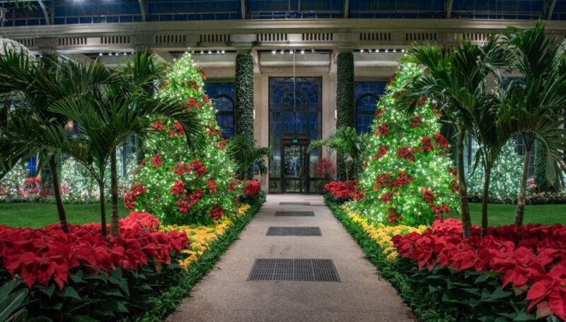 Longwood Gardens Holiday Lights Tour from Philadelphia - Who Is This Tour Best For?