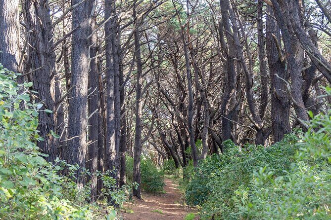 Lord of The Rings Full Day locations tour incl Weta & keepsake - Key Points