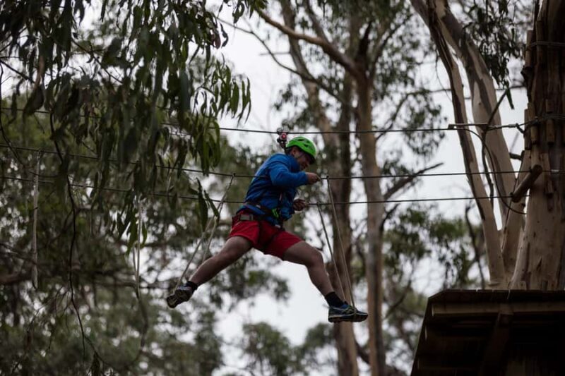 Lorne: Live Wire Park Super Circuit Ticket - Key Points