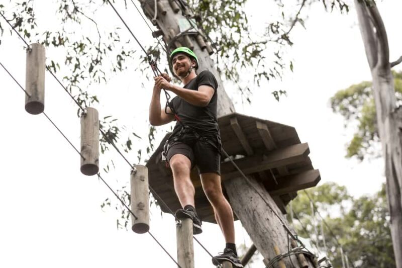 Lorne: Live Wire Park Super Circuit Ticket - An In-Depth Look at the Live Wire Park Super Circuit Experience