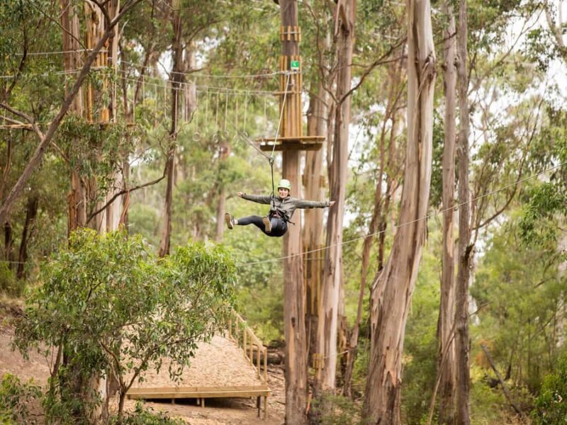 Lorne: Live Wire Park Super Circuit Ticket - FAQs