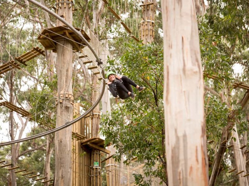 Lorne: Live Wire Park Ticket with Zip Line Rollercoaster - Key Points