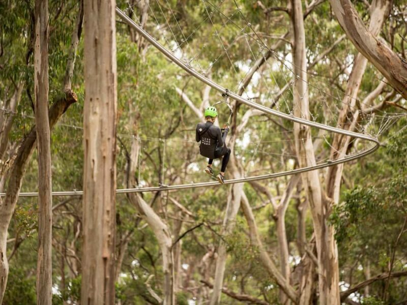 Lorne: Live Wire Park Ticket with Zip Line Rollercoaster - An In-Depth Look at Live Wire Park in Lorne