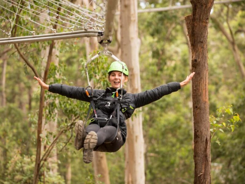 Lorne: Live Wire Park Ticket with Zip Line Rollercoaster - The Sum Up