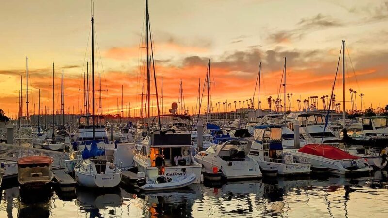 Los Angeles #1: Luxury Boat Cruise-Wine, Cheese & Sea Lions - A Detailed Look at the Experience