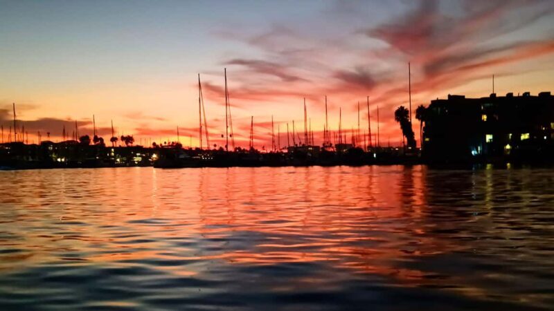 Los Angeles #1: Luxury Boat Cruise-Wine, Cheese & Sea Lions - Final Thoughts
