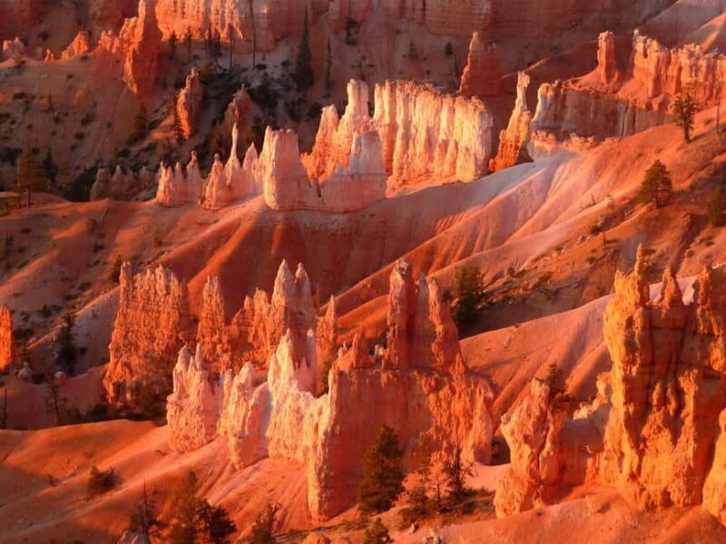 Los Angeles: 10-Day Yellowstone National Park Round Tour - A Closer Look at the Itinerary