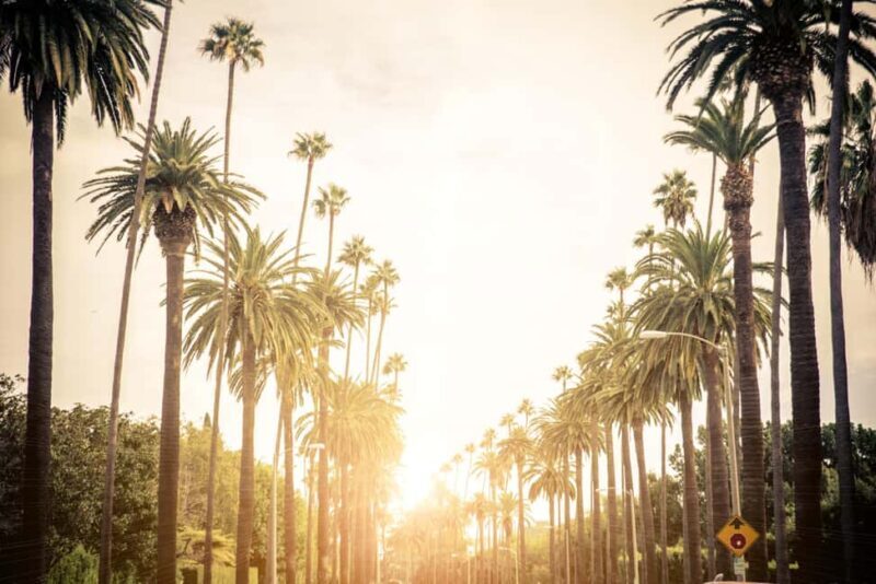 Los Angeles 4-Hour Private Tour: Beverly Hills & More - An In-Depth Look at the Experience