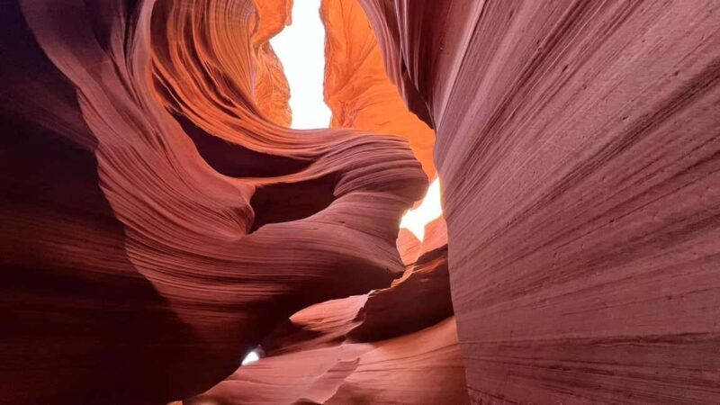 Los Angeles: 6-Day Southwest Guided Tour to Las Vegas - Discovering the Landscape of the American West