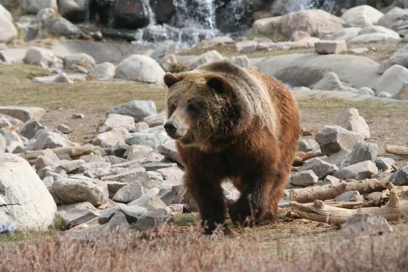 Los Angeles: 7-Day Small Group Yellowstone Tour Round Trip - Accommodation and Extras