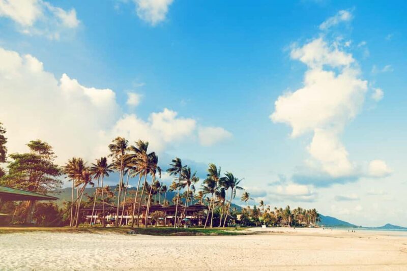 Los Angeles: 7-Hours City & Beach Tour With Hotel Pick Up - Who Will Love This Tour