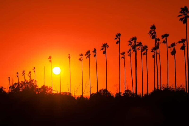 Los Angeles: 7-Hours City & Beach Tour With Hotel Pick Up - Pricing and Value