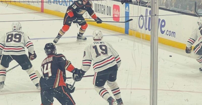 Los Angeles: Anaheim Ducks Ice Hockey Game Ticket - Who Should Consider This Experience?