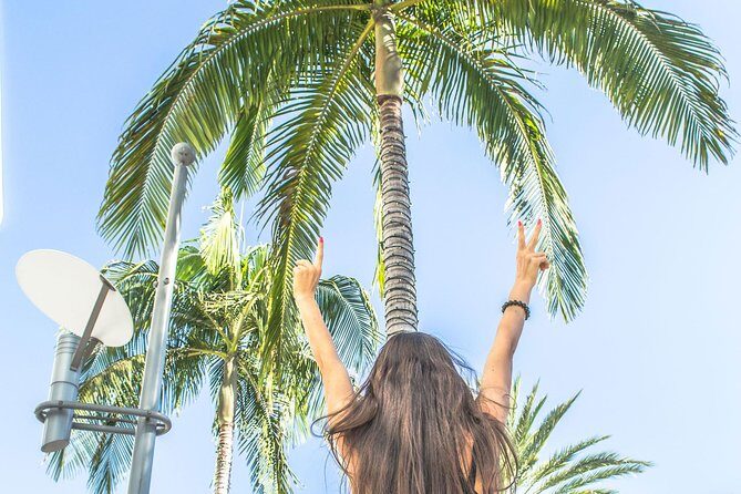 Los Angeles Half-Day Tour - Downtown, Hollywood, Rodeo Drive, Farmer's Market - Real Traveler Experiences and Notable Highlights