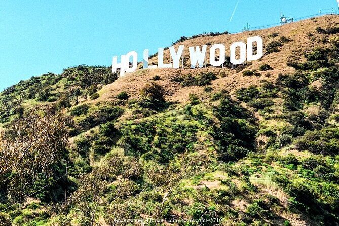 Los Angeles Iconic Highlights: Private Half-Day Driving tour - Reviews & Feedback