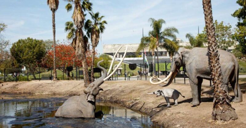 Los Angeles: La Brea Tar Pits Museum Ticket - Active Excavations and Guided Tours