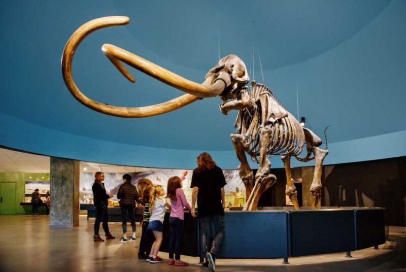 Los Angeles: La Brea Tar Pits Museum Ticket - Gardens and Additional Attractions