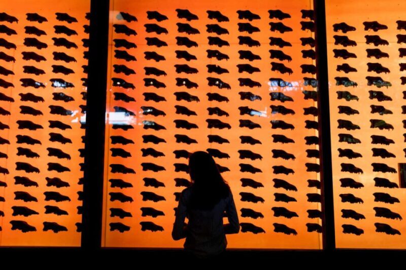 Los Angeles: La Brea Tar Pits Museum Ticket - Visitor Experience and Reviews