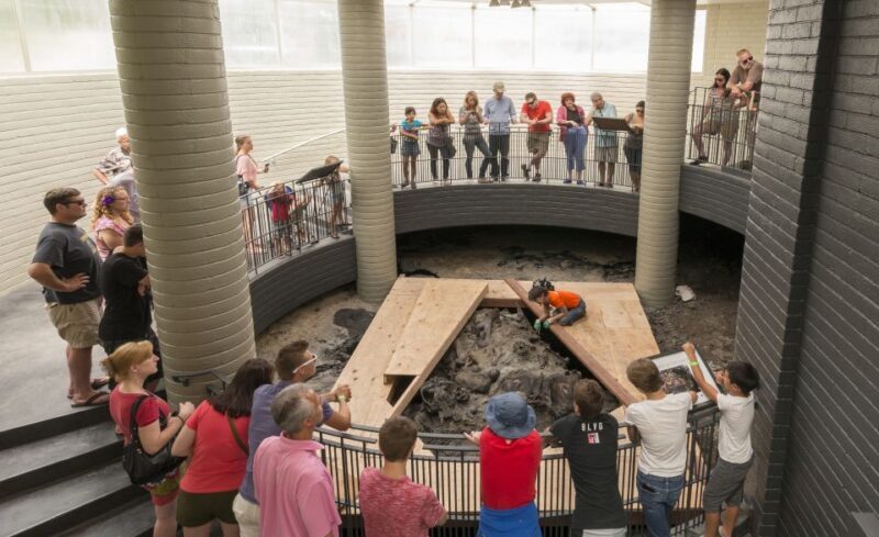 Los Angeles: La Brea Tar Pits Museum Ticket - The Value for Money