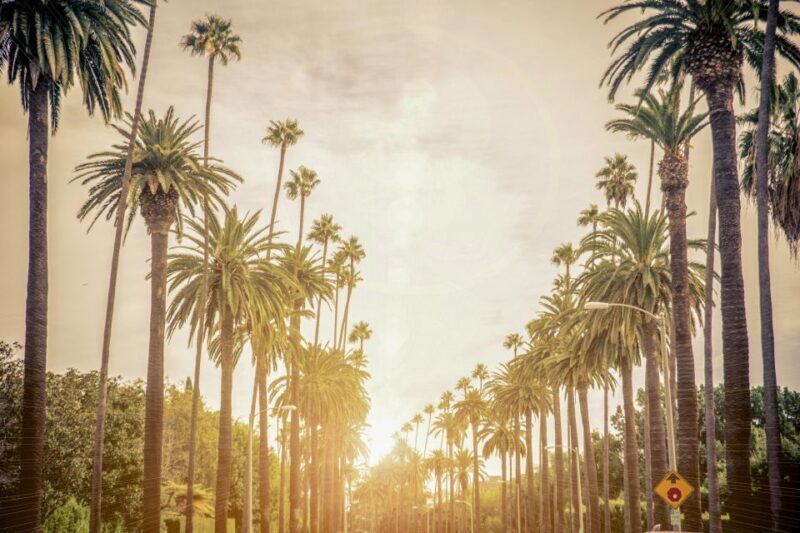 Los Angeles: LA in a Day Guided Electric Bike Tour - The Bottom Line: Who Will Love This Tour?