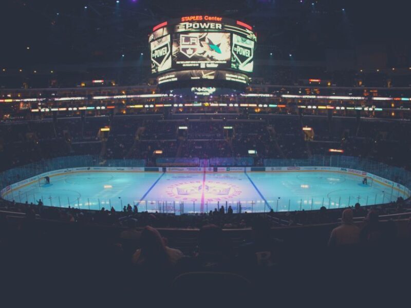 Los Angeles: LA Kings Ice Hockey Game Ticket - An Introduction to the LA Kings Experience