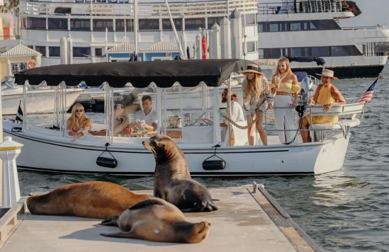 Los Angeles: Luxury Cruise with Wine, Cheese & Sea Lions - Los Angeles: Luxury Cruise with Wine, Cheese & Sea Lions — An Honest Review