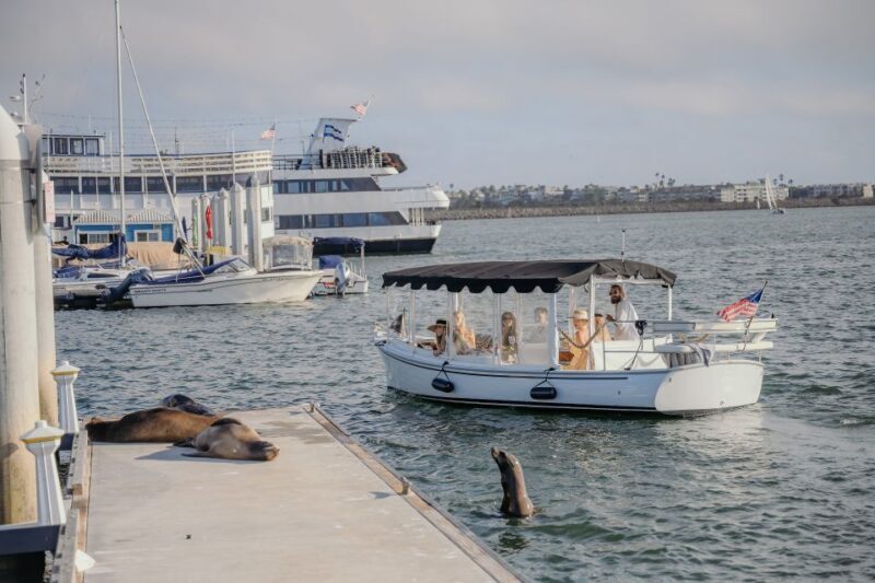 Los Angeles: Luxury Cruise with Wine, Cheese & Sea Lions - Who Should Consider This Experience?