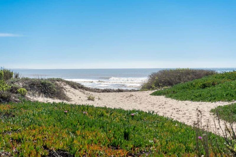 Los Angeles: Malibu Private Day Trip - Who is This Tour Best For?