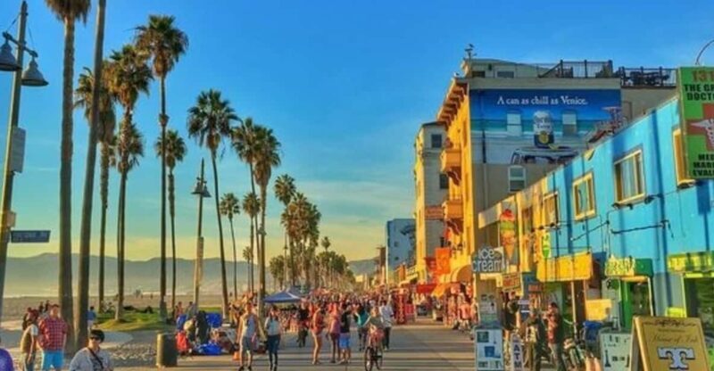 Los Angeles : Must-See Attractions Car Tour with a Guide - Who Will Love This Experience?
