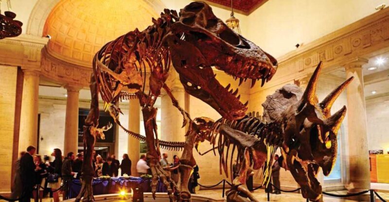 Los Angeles: Natural History Museum of LA Entry Ticket - The Ultimate Guide to the Natural History Museum of Los Angeles