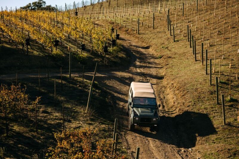 Los Angeles: Private 4x4 Vineyard Tour in Malibu - A Closer Look at the Malibu 4x4 Vineyard Adventure