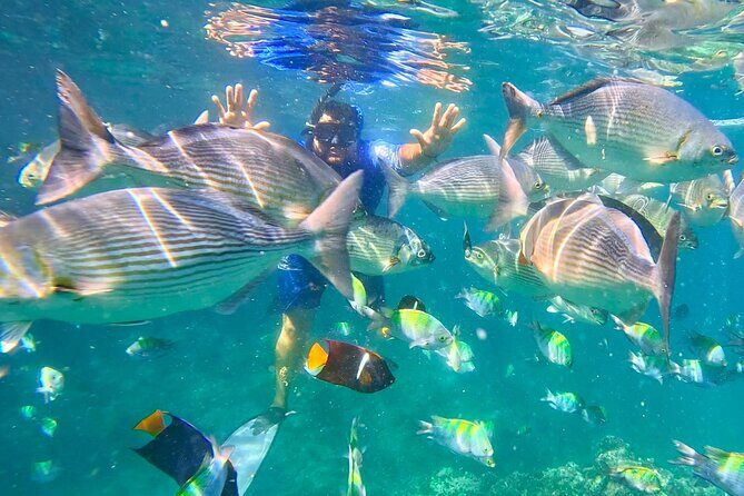 Los Arcos Snorkeling Adventure, Colomitos & Las Animas Beach - Who Will Love This Tour?