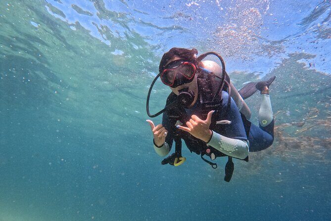 Los Cabos 1 tank dive to Lands End (Certified Divers) - Exploring the 1-Tank Dive to Lands End in Los Cabos: A Practical Review