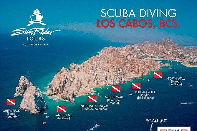 Los Cabos 1 tank dive to Lands End (Certified Divers) - The Marine Life and Diving Experience