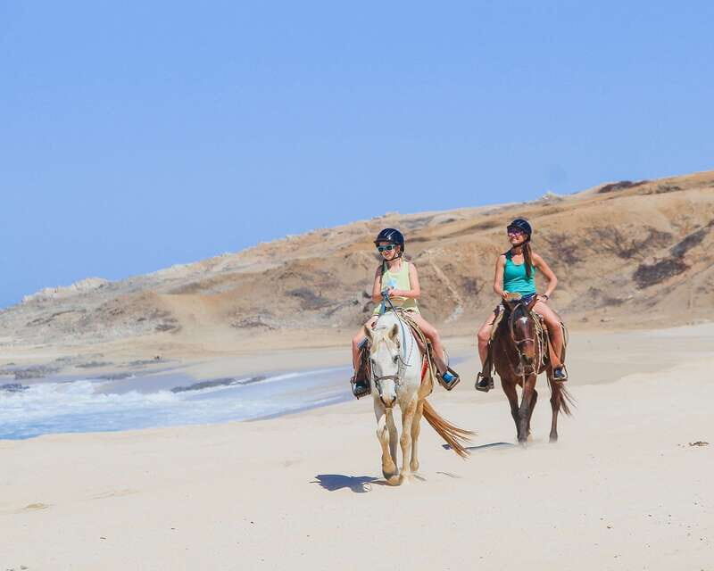 Los Cabos: 2 in 1 Combo Tour - An In-Depth Look at the Tour