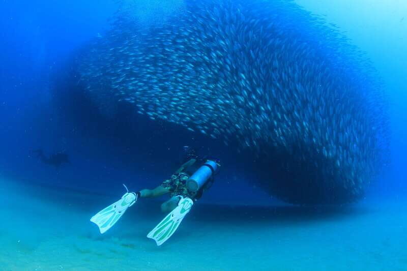 Los Cabos 3-Hour Certified Scuba Diving Tour - The Sum Up