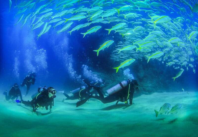 Los Cabos: 3-Hour Introductory Scuba Diving Adventure - Exploring the Los Cabos 3-Hour Introductory Scuba Diving Adventure