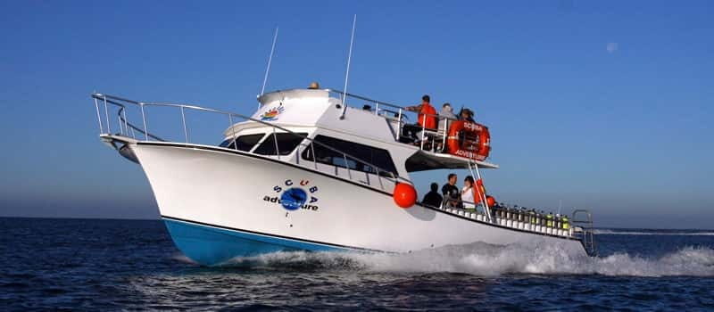 Los Cabos: 3-Hour Introductory Scuba Diving Adventure - Final Thoughts on Value and Best Use