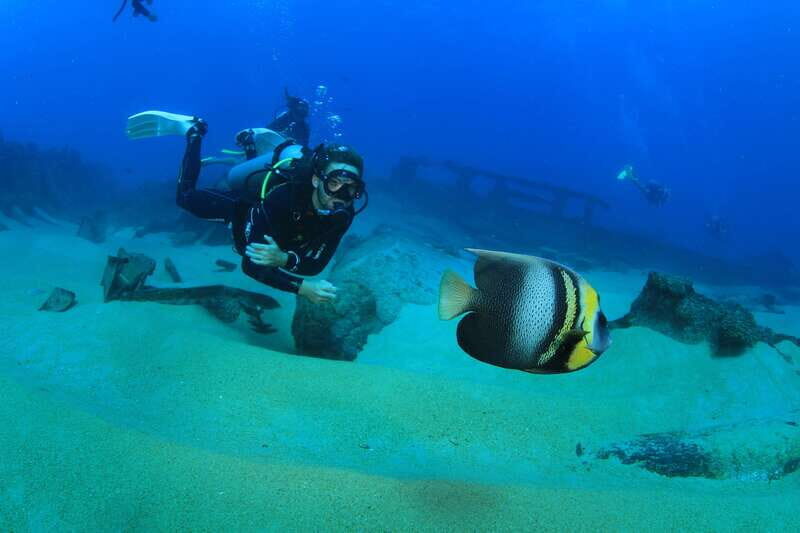 Los Cabos: 3-Hour Introductory Scuba Diving Adventure - FAQ