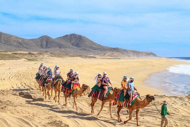 Los Cabos 3 in 1 Adventure: Camel Ride, Lunch and Arch Boat Tour - An In-Depth Look at the Los Cabos 3-in-1 Adventure